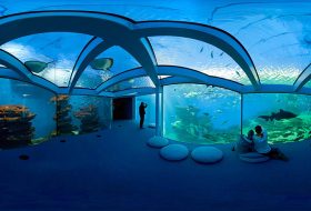 palma-aquarium