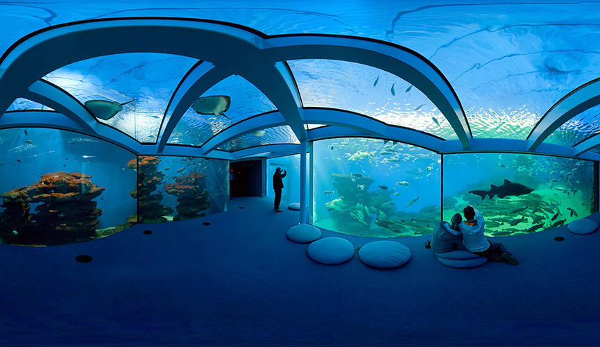 palma-aquarium